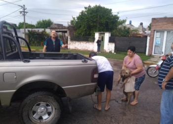 Indignante: llevaban un perro atado al paragolpes de una camioneta