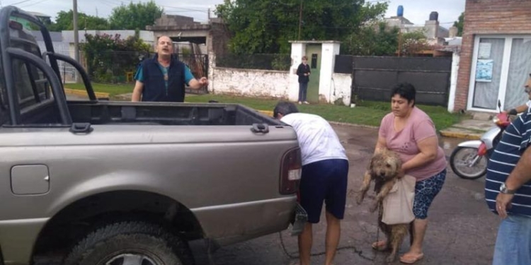 Indignante: llevaban un perro atado al paragolpes de una camioneta