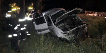 Despistó y chocó contra un árbol: una mujer resultó herida