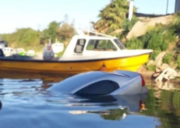 Un auto cayó al arroyo San Lorenzo y pasó a centímetros de un pescador