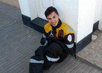 Bomberos rescataron a un perrito mientras apagaban un incendio y le consiguieron una familia