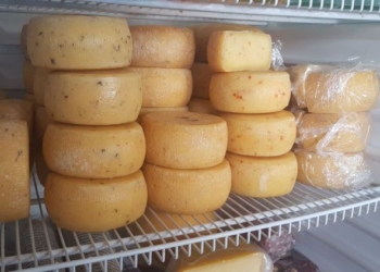 Ratones: robaron 12 hormas de queso a un productor de Totoras