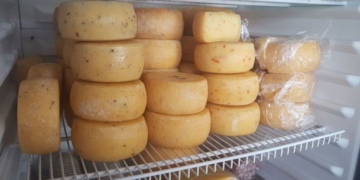 Ratones: robaron 12 hormas de queso a un productor de Totoras