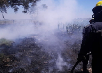 Quemaban ramas, el fuego se salió de control y tomó un campo sembrado