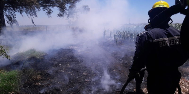 Quemaban ramas, el fuego se salió de control y tomó un campo sembrado