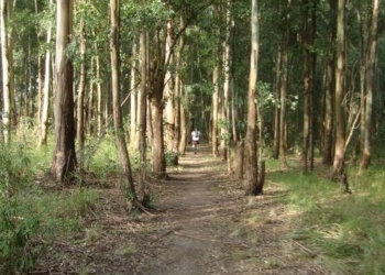 El periplo de una familia que se perdió en el Circuito Natural de Andino