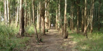 El periplo de una familia que se perdió en el Circuito Natural de Andino