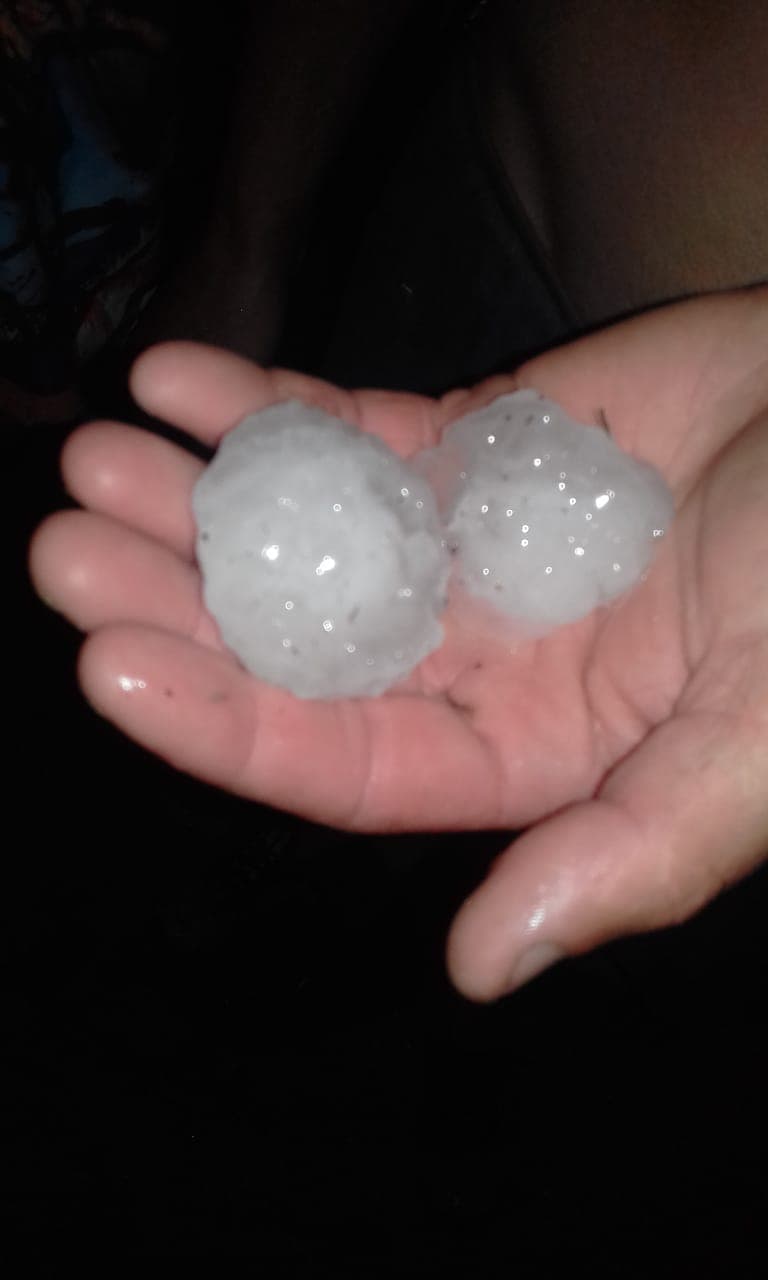 El granizo destruyó cultivos en campos de la región