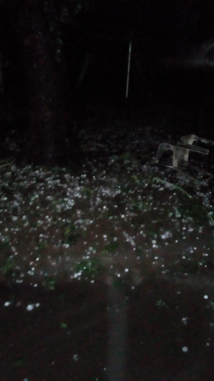 El granizo destruyó cultivos en campos de la región