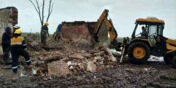 San Genaro: Bomberos rescataron animales tras el derrumbe de una tapera