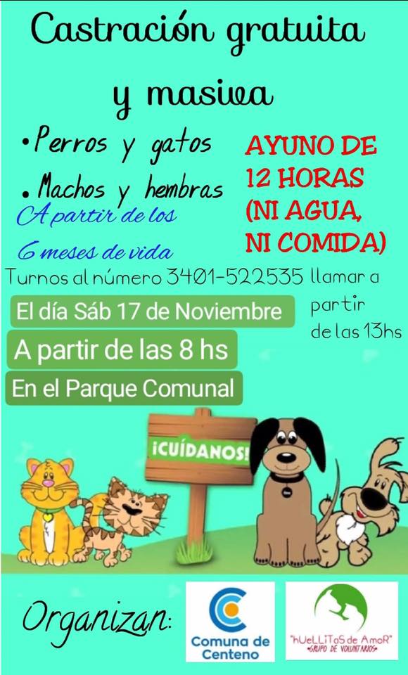 Preparan la última castración masiva y gratuita del año en Centeno