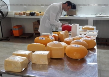 Fiesta Nacional de la Leche: se viene el concurso de quesos