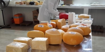 Fiesta Nacional de la Leche: se viene el concurso de quesos