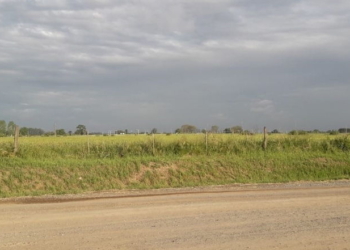 Pronosticaron alerta meteorológico por «fuertes tormentas»