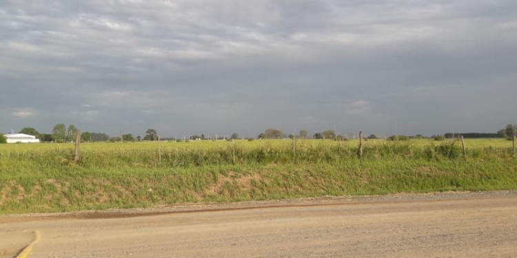 Pronosticaron alerta meteorológico por «fuertes tormentas»