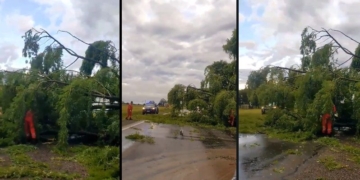 En medio del temporal un árbol cayó y bloqueó la Ruta 34