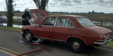 El motor de un auto fue invadido por las llamas en San Genaro