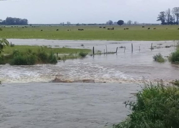 ¿Continuarán las lluvias? Renovaron el alerta por tormentas