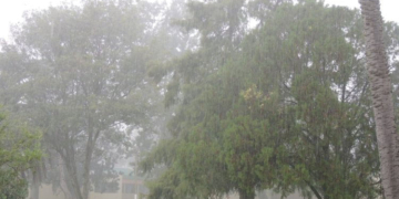 En noviembre, llovió en la región el triple del promedio histórico