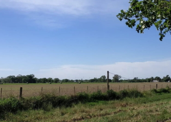 Crearán un área de servicio en la ciudad de San Genaro