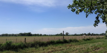 Crearán un área de servicio en la ciudad de San Genaro