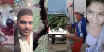 El ranking de las notas más leídas del año en Info Más