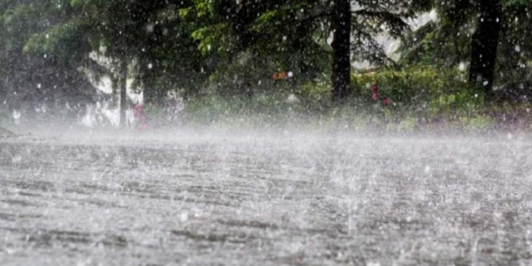 Calor sofocante y alerta por tormentas fuertes para el sur de Santa Fe