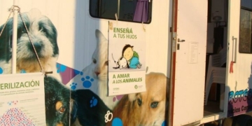 Totoras: campaña de esterilización y vacunación animal