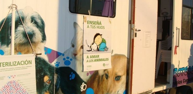 Totoras: campaña de esterilización y vacunación animal