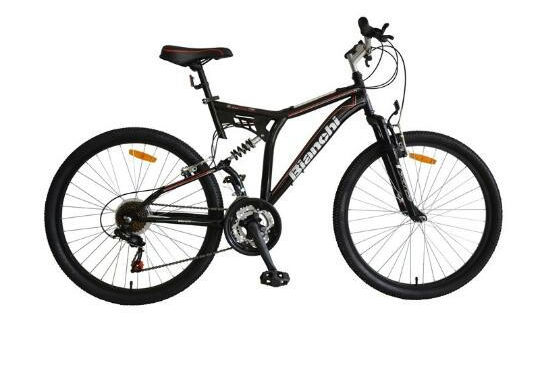 Monje: una mujer sufrió el robo de su bicicleta que utiliza para ir a trabajar