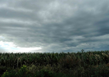 Un alerta por tormentas fuertes abarca al sur de Santa Fe