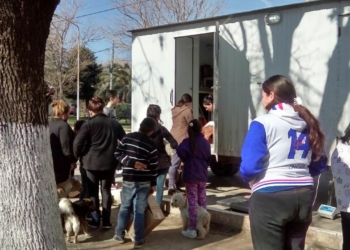 Volverán las castraciones masivas y gratuitas a Puerto Gaboto