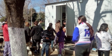 Volverán las castraciones masivas y gratuitas a Puerto Gaboto