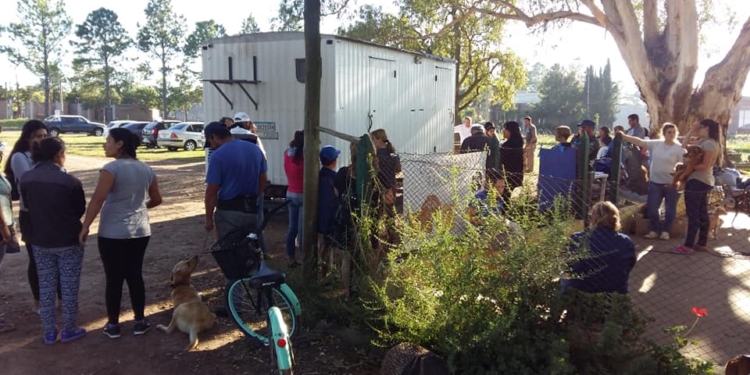 San Genaro: castraron a 69 mascotas en la campaña de este sábado