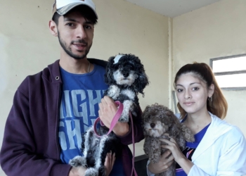 Nueva jornada de esterilización masiva y gratuita en Totoras