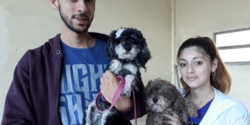 Nueva jornada de esterilización masiva y gratuita en Totoras