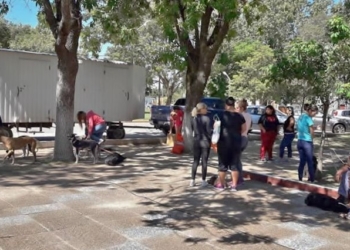 Exitosa jornada de castración en Gaboto con más de 80 cirugías