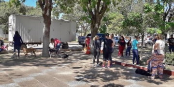 Exitosa jornada de castración en Gaboto con más de 80 cirugías