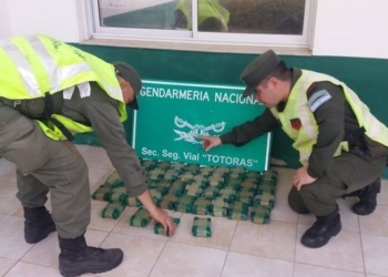 Secuestraron doce kilos de hoja de coca de un colectivo en Ruta 34