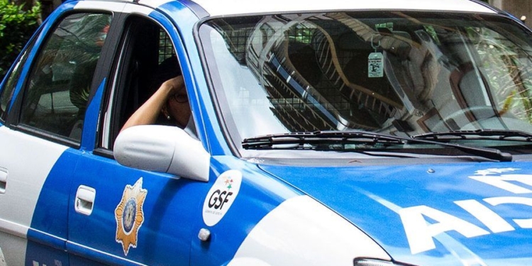 Una delincuente con pedido de captura fue atrapada en la región