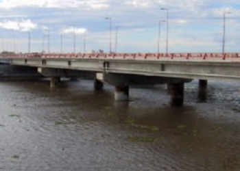 Pescaban sobre un puente de autopista, cayeron al río y murieron