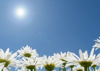 Fin de semana a puro sol y temperatura en aumento