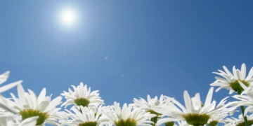 Fin de semana a puro sol y temperatura en aumento