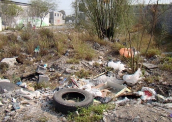Totoras: intiman a vecinos que limpien los terrenos baldíos