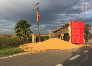 Serodino: un camión volcó y derramó cereal sobre la ruta
