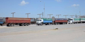 Accidente fatal en la región: camionero murió aplastado mientras esperaba para descargar