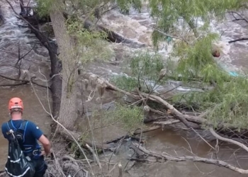 Desafío del Carca: revelaron detalles y la identidad de la mujer fallecida