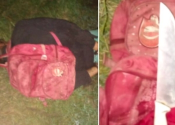 Robó decenas de chanchos en la región y lo atraparon faenando