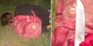 Robó decenas de chanchos en la región y lo atraparon faenando