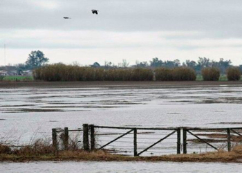 Por anegamientos, declararon la emergencia agropecuaria en Santa Fe